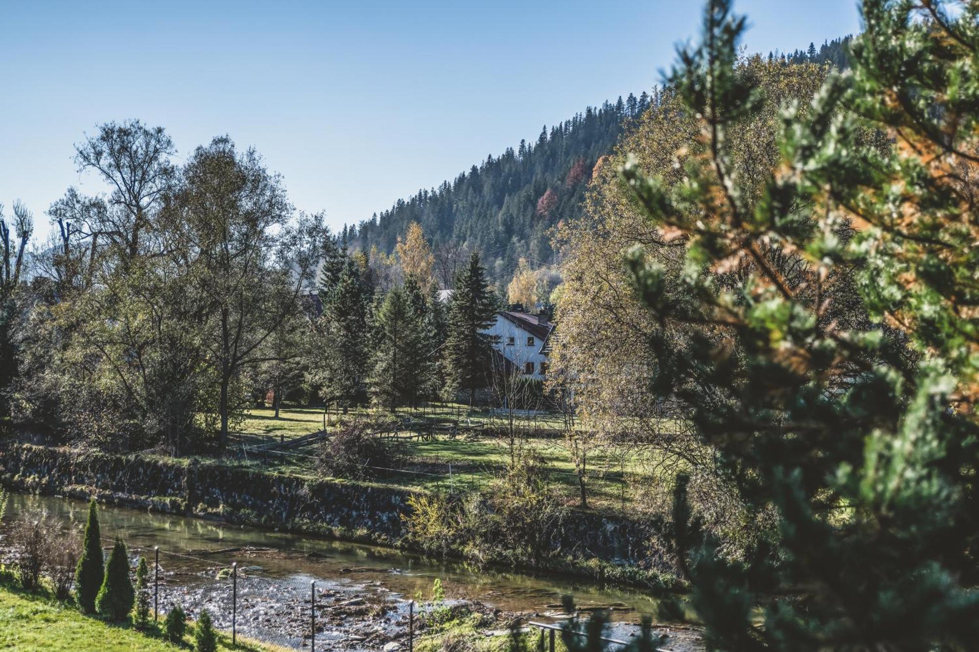 Pokoje Goscinne Na Stromej Zakopane Eksteriør bilde